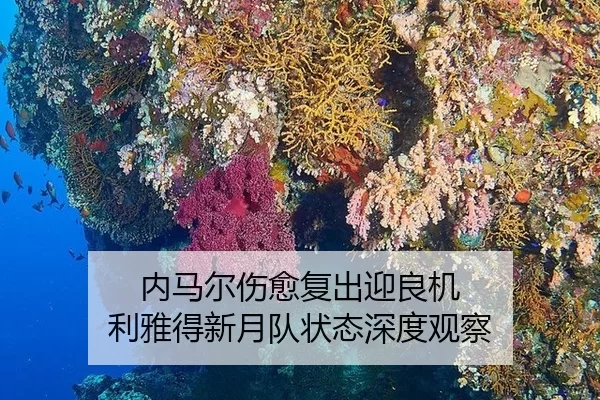 内马尔伤愈复出迎良机 利雅得新月队状态深度观察