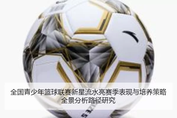 全国青少年篮球联赛新星流水亮赛季表现与培养策略全景分析路径研究